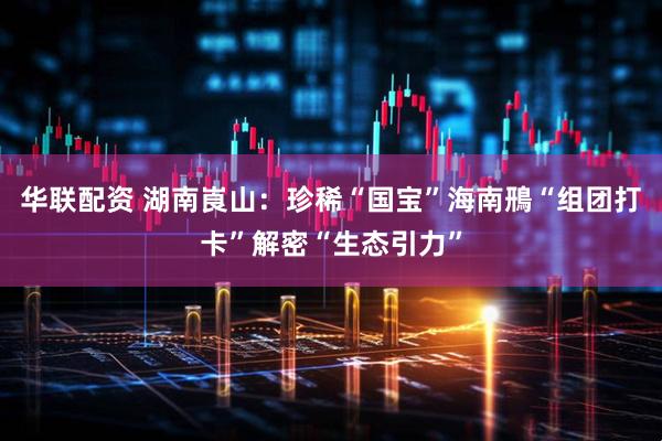 华联配资 湖南崀山：珍稀“国宝”海南鳽“组团打卡”解密“生态引力”