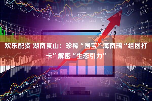 欢乐配资 湖南崀山：珍稀“国宝”海南鳽“组团打卡”解密“生态引力”