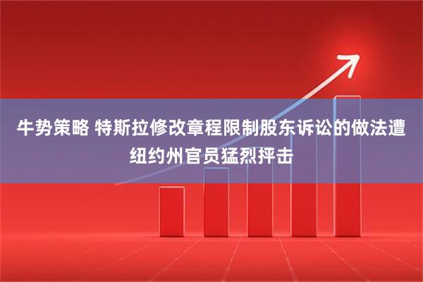 牛势策略 特斯拉修改章程限制股东诉讼的做法遭纽约州官员猛烈抨击