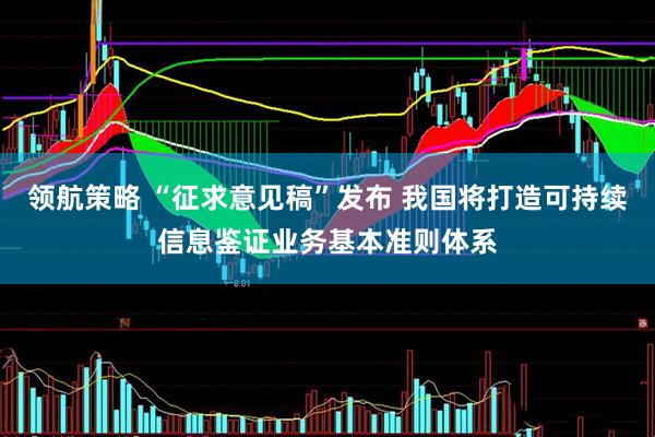 领航策略 “征求意见稿”发布 我国将打造可持续信息鉴证业务基本准则体系